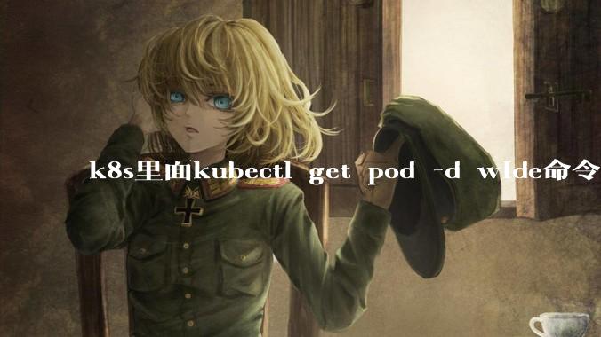 k8s里面kubectl get pod -d wide命令作用是什么？