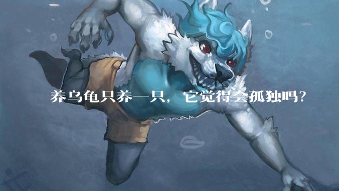 养乌龟只养一只，它觉得会孤独吗？