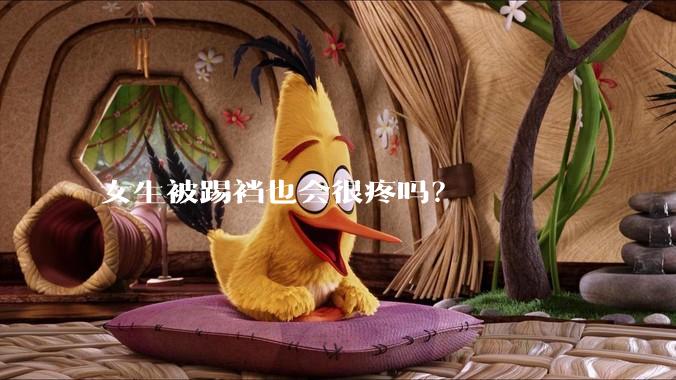 女生被踢裆也会很疼吗？