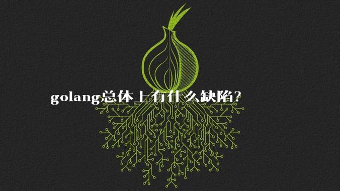 golang总体上有什么缺陷？