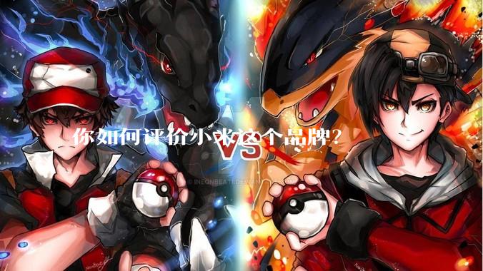 你如何评价小米这个品牌？