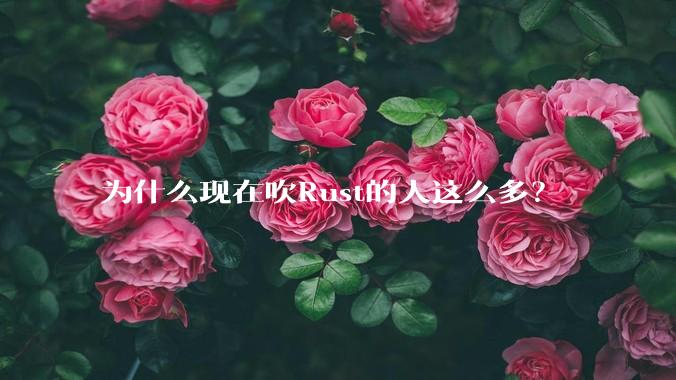 为什么现在吹Rust的人这么多？
