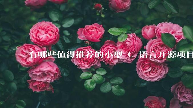 有哪些值得推荐的小型 C 语言开源项目？